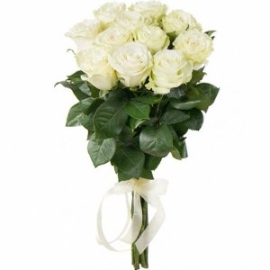 11 белых элитных эквадорских роз