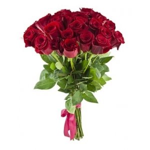 25 элитных красных  эквадорских роз