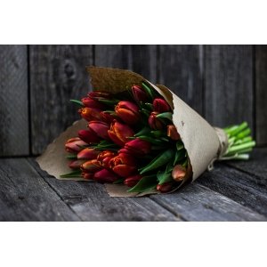 Букет из 25 красно-рыжих тюльпанов