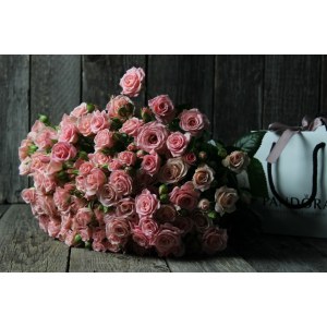 Букет из 25 нежно-розовых роз