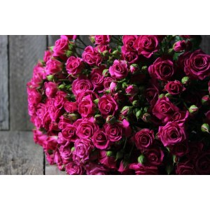 Букет из 15 ярко-розовых кустовых роз