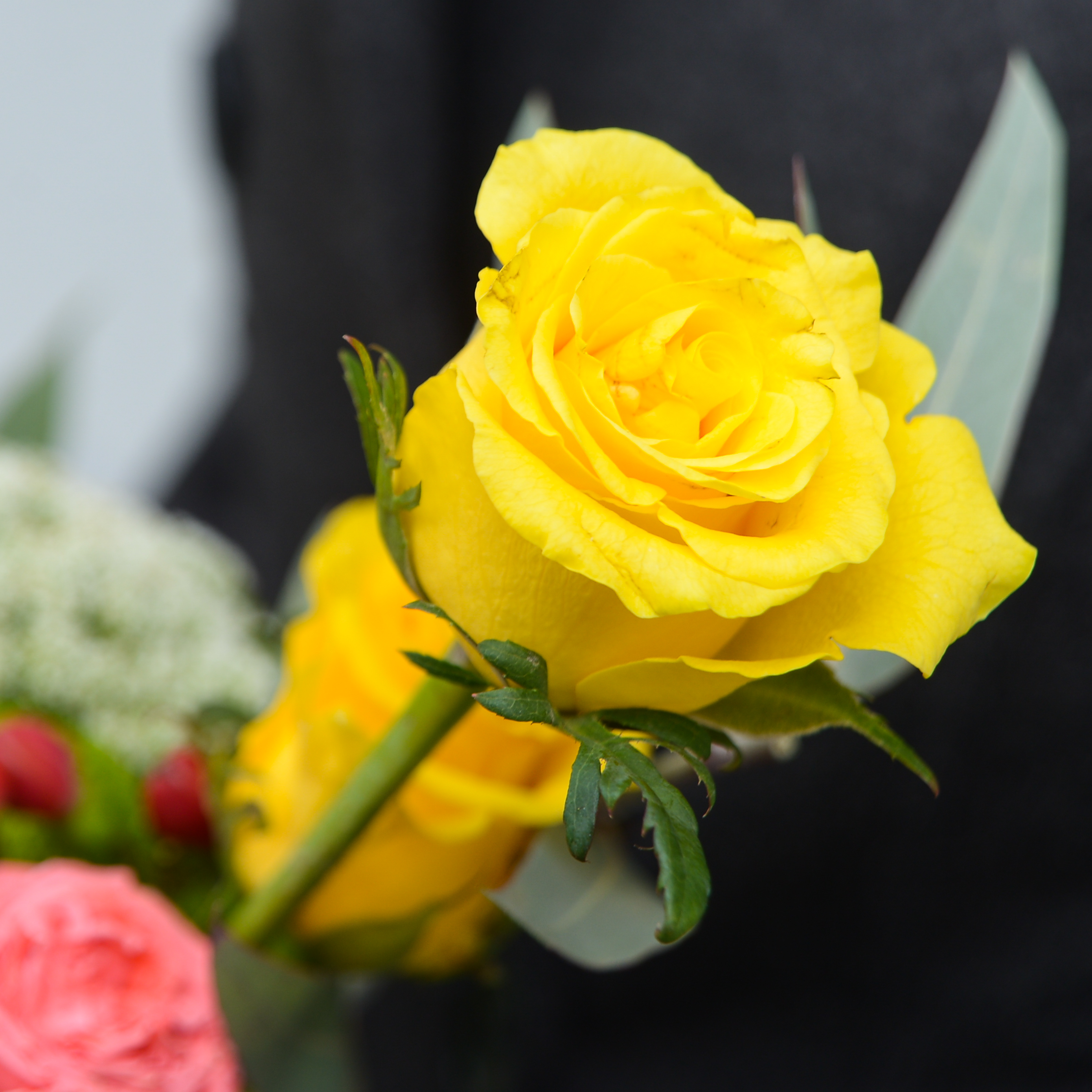 https://amelishops.ru/images/upload/DSC_6689.jpg https://amelishops.ru/images/upload/DSC_6689.jpg